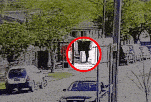 澳洲警方披露 海滩枪击案更多细节