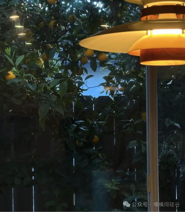 我从白女关系户同事身上学到的超强职场配得感 我从白女关系户同事身上学到的超强职场配得感