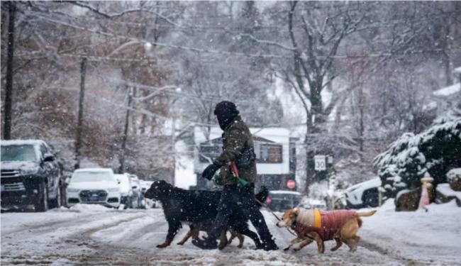 加拿大迎来最低-55℃极寒 降雪量最高达40厘米 加拿大迎来最低-55℃极寒 降雪量最高达40厘米