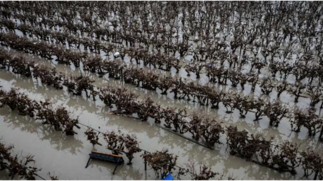 加拿大迎来最低-55℃极寒 降雪量最高达40厘米 加拿大迎来最低-55℃极寒 降雪量最高达40厘米