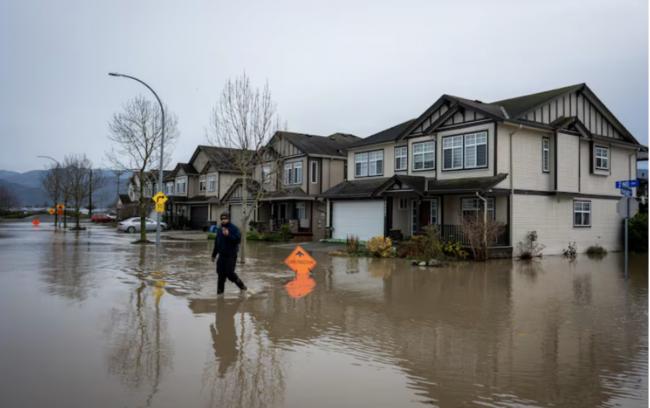 加拿大迎来最低-55℃极寒 降雪量最高达40厘米 加拿大迎来最低-55℃极寒 降雪量最高达40厘米