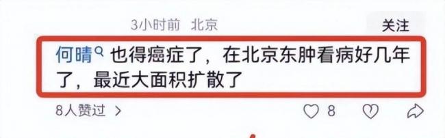 何晴2015年频繁头疼,去世前昏迷了很久 何晴2015年频繁头疼,去世前昏迷了很久