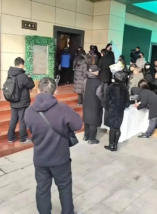 何晴2015年频繁头疼,去世前昏迷了很久 何晴2015年频繁头疼,去世前昏迷了很久