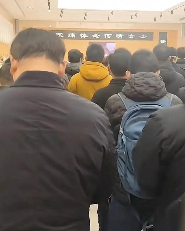 何晴2015年频繁头疼,去世前昏迷了很久 何晴2015年频繁头疼,去世前昏迷了很久