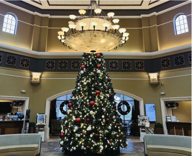 �����������뾫��ϸ�������