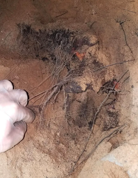 父亲出门买烟却人间蒸发 55年后地下室惊现… 父亲出门买烟却人间蒸发 55年后地下室惊现…