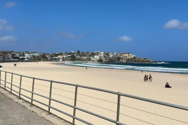 邦迪恐袭:19岁澳洲救生员救下中国留学生 邦迪恐袭:19岁澳洲救生员救下中国留学生