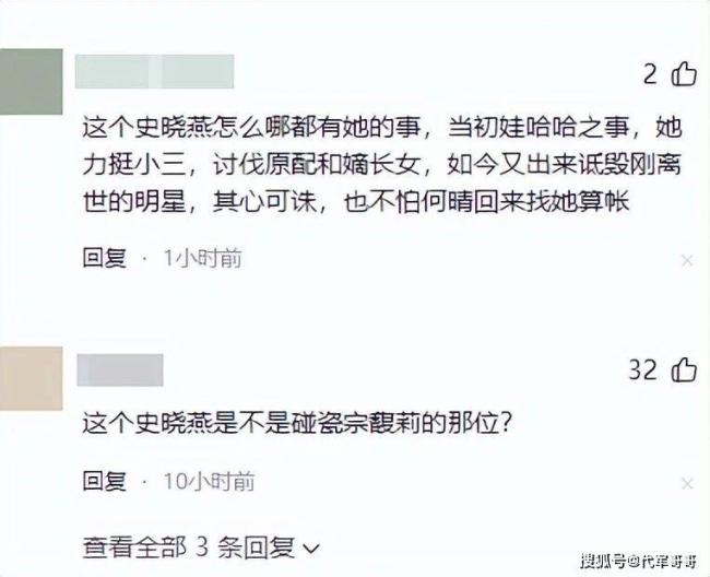 史晓燕曝何晴离婚咎由自取,网民却将她扒个底朝天 史晓燕曝何晴离婚咎由自取,网民却将她扒个底朝天