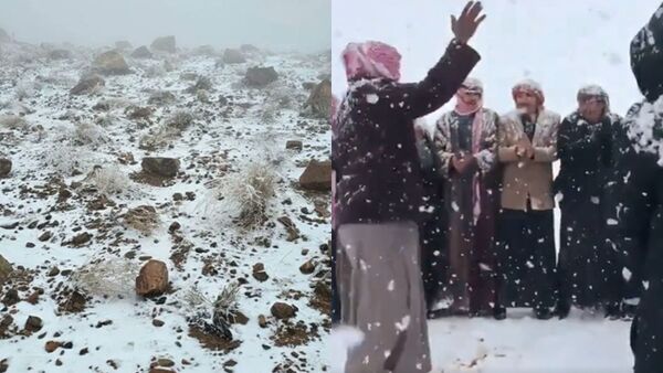 ɳ���´�ѩ�ˣ�ɳĮ�����״�� ���˷�