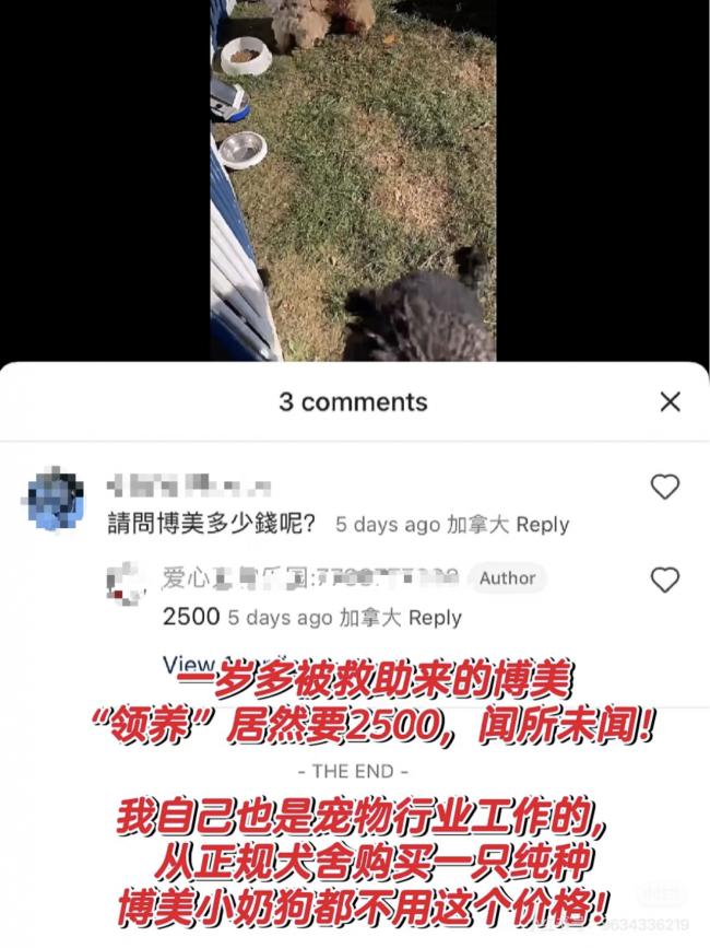 һè������̨ǿ��3���� 32ֻèװ���������ſ�