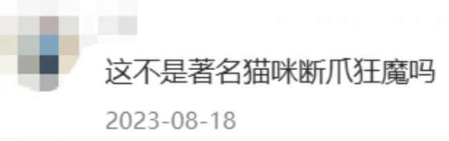 һè������̨ǿ��3���� 32ֻèװ���������ſ�