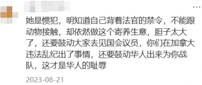 һè������̨ǿ��3���� 32ֻèװ���������ſ�