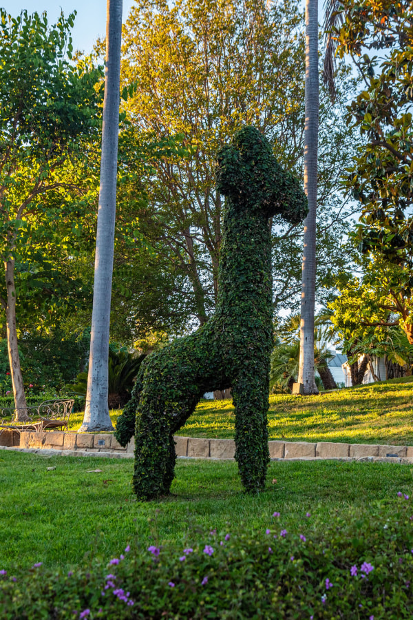 震惊上流社会 昔日首富如何陷入债务黑洞 震惊上流社会 昔日首富如何陷入债务黑洞