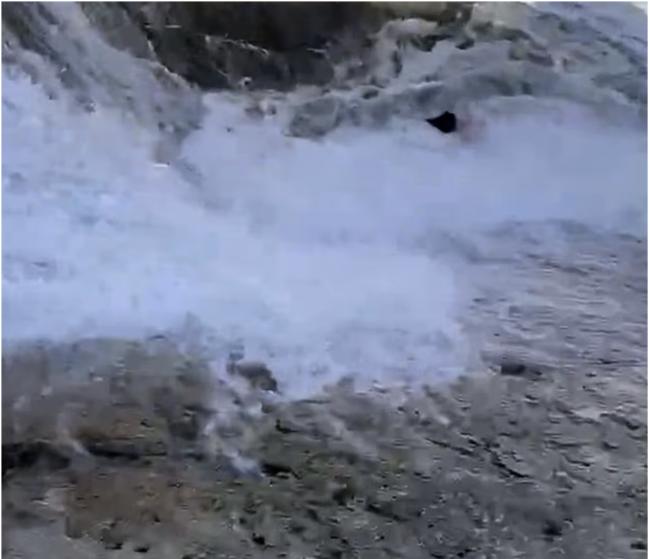 �����οͺ������������ ������������