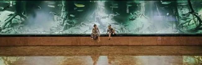 �й�������Ӫ���������¹򡱣���־����Ů������