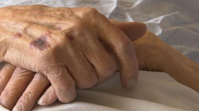 �޻�����մ����ɷ��μƻ�ɱ������ɱ