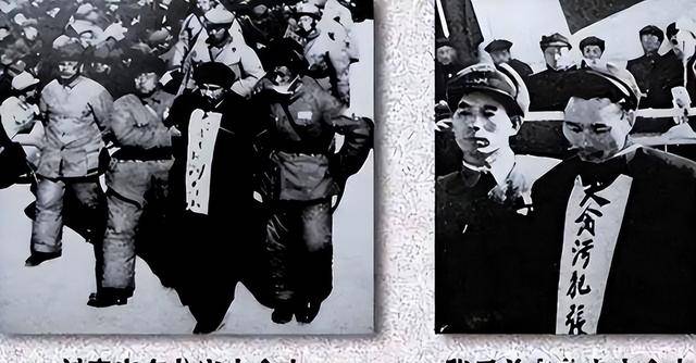 1951������ɽȫ�Ҹ����������ң����걻ǹ��