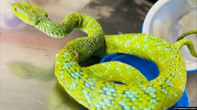 �й�������˽�ڹ궾�߱����� ������