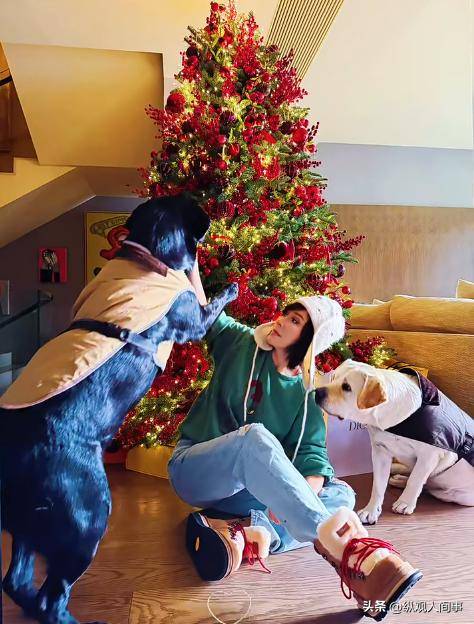 ������ɹ���ں�լ�ھ�������������������ζ