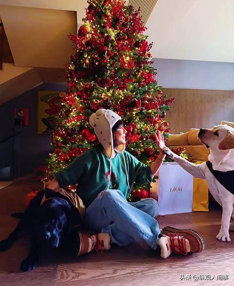 ������ɹ���ں�լ�ھ�������������������ζ