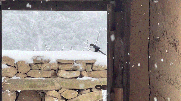 隐居终南山的他,活成了我们不敢活的模样 隐居终南山的他,活成了我们不敢活的模样