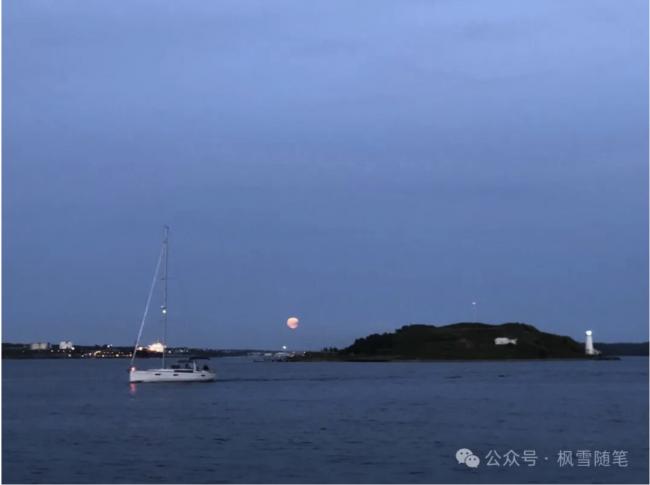 ����������Ŀ�õļ��ô�նɱ�ߡ�