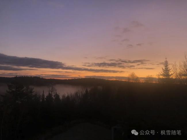 ����������Ŀ�õļ��ô�նɱ�ߡ�