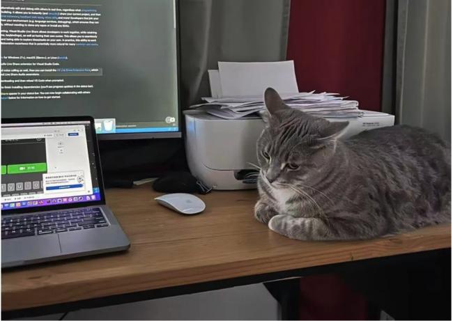 60��00���Ҽ�����4λ����Ա���еĲп�����