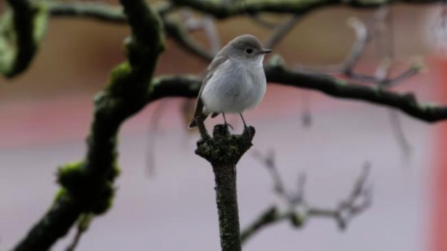 һ���ѵ�һ�����澰 ���ڷ�ӵ�����¸绪�⹫԰