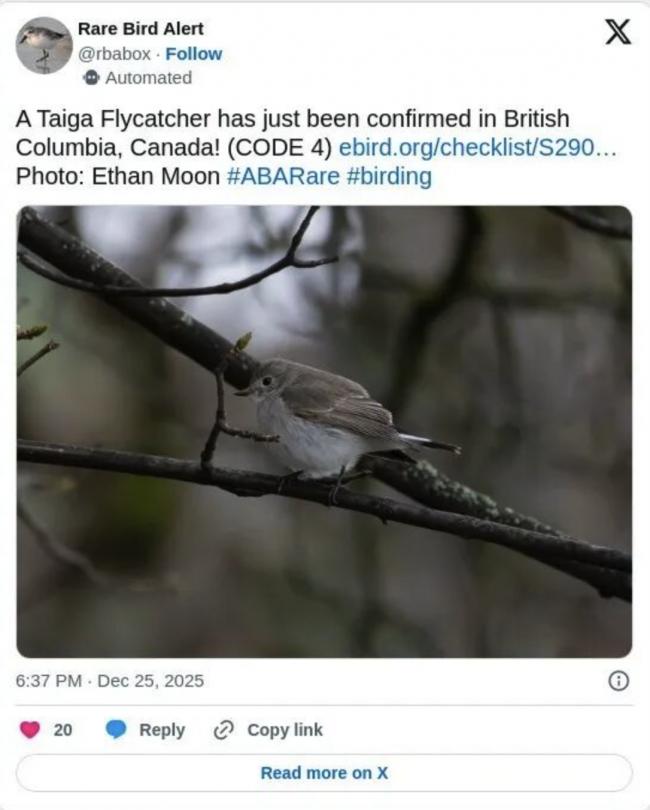 һ���ѵ�һ�����澰 ���ڷ�ӵ�����¸绪�⹫԰