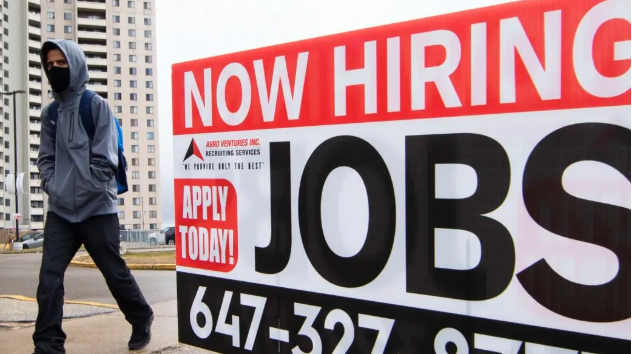 2026��ľ�ҵ�г����������ձ鲻�ֹ�