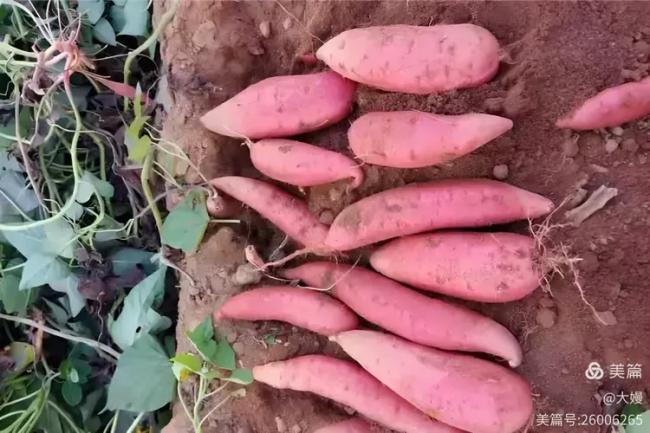 202602_17714447759882.png 640 (45).png