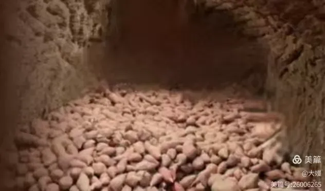 202602_17714447973269.png 640 (46).png