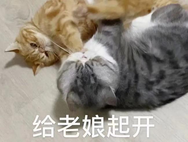 640 - 2026-04-16T111916.131.jpg