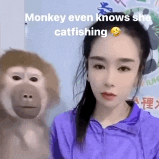 640 (8).gif