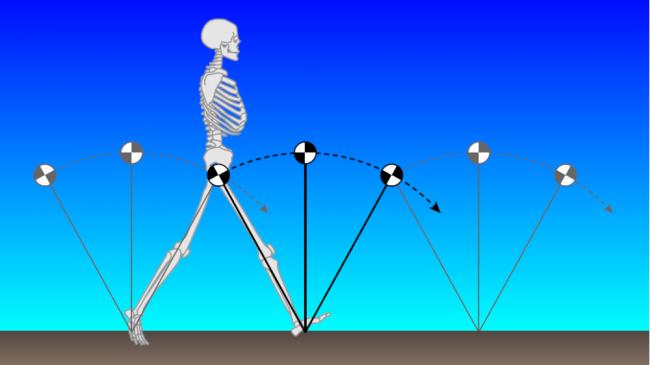 640 (3).png