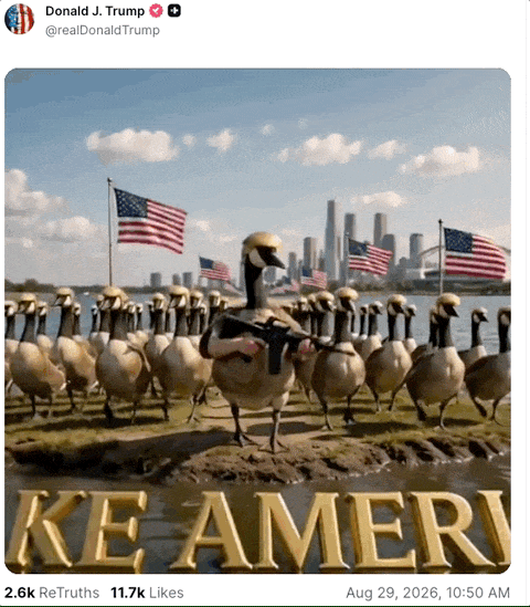 202608_17882011514898.gif 640 (1).gif