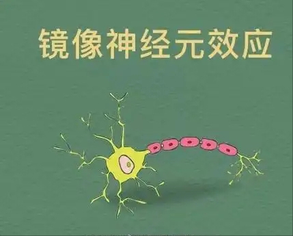 640 (37).png