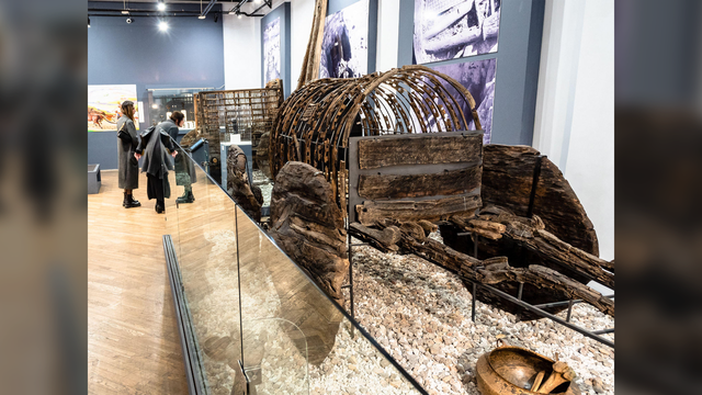 青铜时代敞篷豪车出土 工艺精致 轮子高达1.6米 青铜时代敞篷豪车出土 工艺精致 轮子高达1.6米