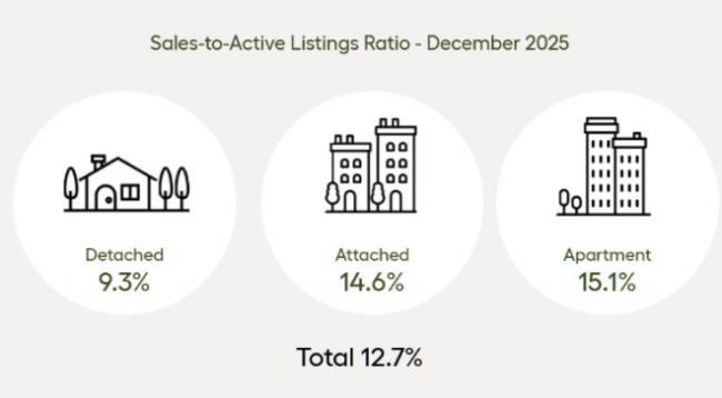 ȫ�߱��������·������۶�����