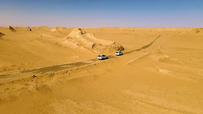 ��ʴ����ϣ���Ƭ��ѡ�δ�������ŵ�����