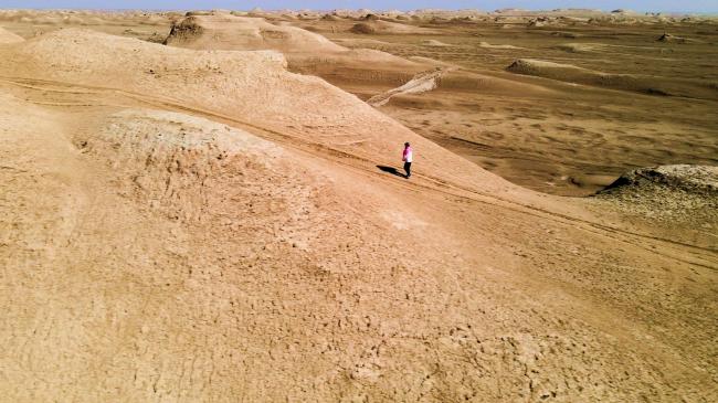 ��ʴ����ϣ���Ƭ��ѡ�δ�������ŵ�����