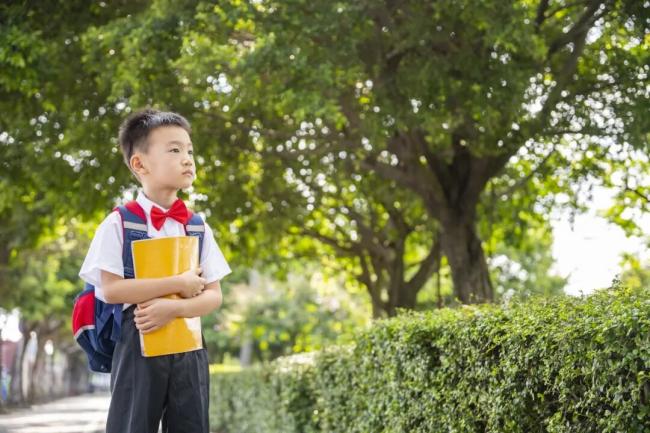 �����Բ��Դ�Сѧ�ſڿ�ʼ�� Ϊ��������������