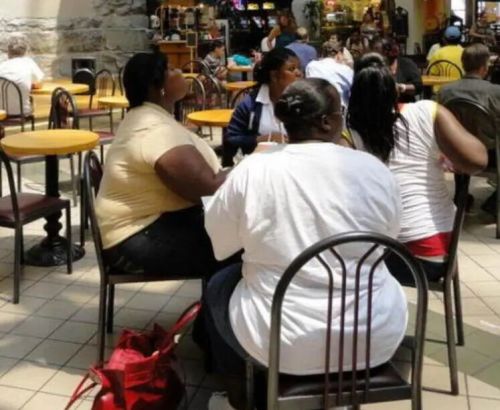 ��ѩ�������������ǣ��Ƕȷ��������⻹�Ӳ���