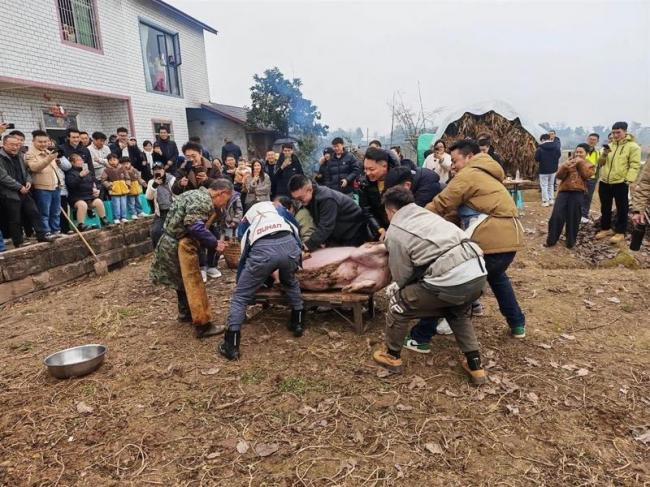 ����Ů���������ȫ�����������ס�