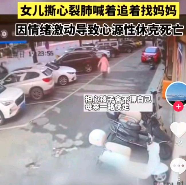 母亲躲藏致女童情绪崩溃 当街死亡 内情令人唏嘘