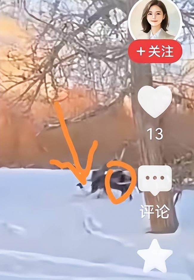 网红官员贺娇龙去世 坠马影像完整曝出 过程残忍