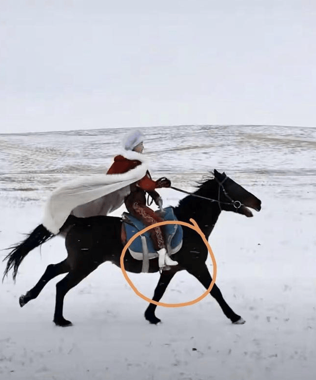 网红官员贺娇龙去世 坠马影像完整曝出 过程残忍