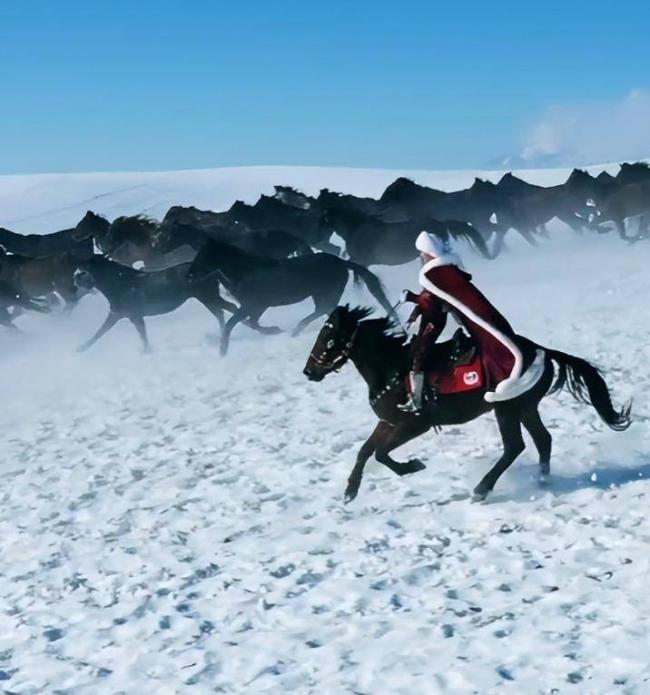 身体倒挂，头骨被踩，贺娇龙去世细节曝光