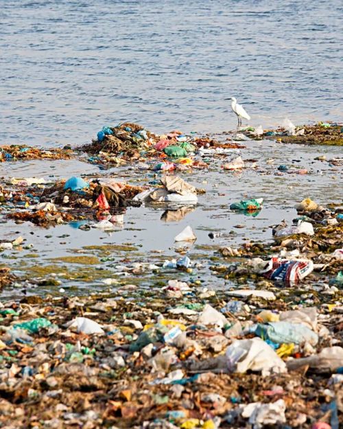 ӡ�Ⱦ����ж��ࣿ�׶�����ɽ20��¥��